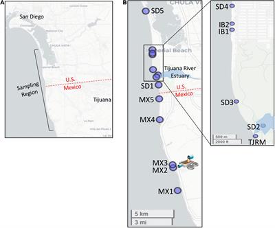 A Combined Digital PCR and Next Generation DNA-Sequencing Based Approach for Tracking Nearshore Pollutant Dynamics Along the Southwest United States/Mexico Border